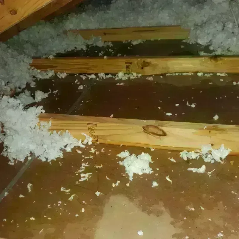 Attic Water Damage in Lemoore Station, CA