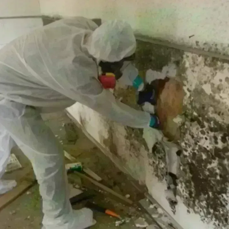 Mold Remediation and Removal in Lemoore Station, CA